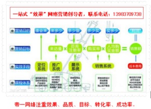 帝一網(wǎng)絡(luò) 專業(yè)網(wǎng)頁(yè)設(shè)計(jì)與網(wǎng)站建設(shè)公司的卓越之選